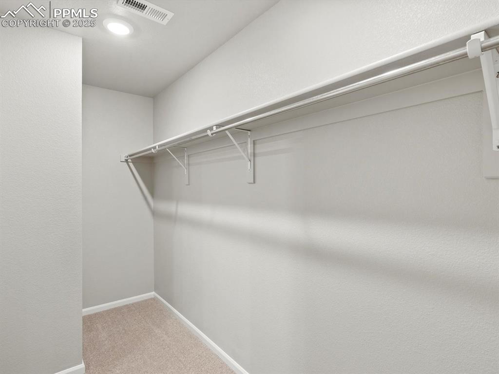 6786 Roundtail Way Colorado Springs, CO 80925 - Photo 21 of 24