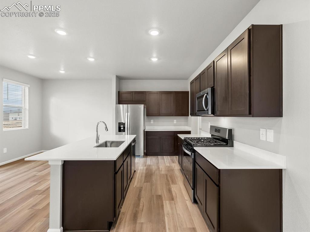 6786 Roundtail Way Colorado Springs, CO 80925 - Photo 5 of 24