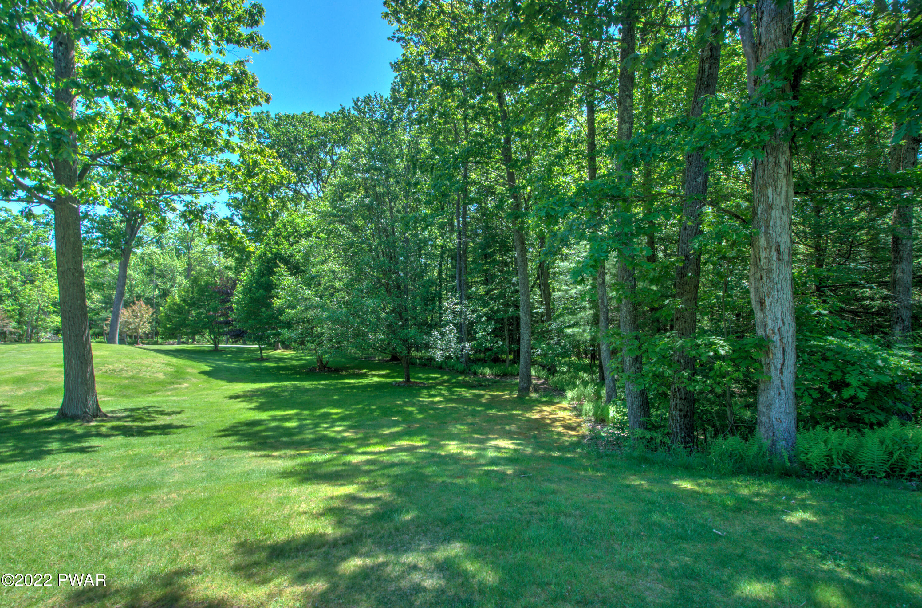 141 Egypt Road Tafton, PA 18464 - Photo 36 of 45 30-Exterior Front yard - trees