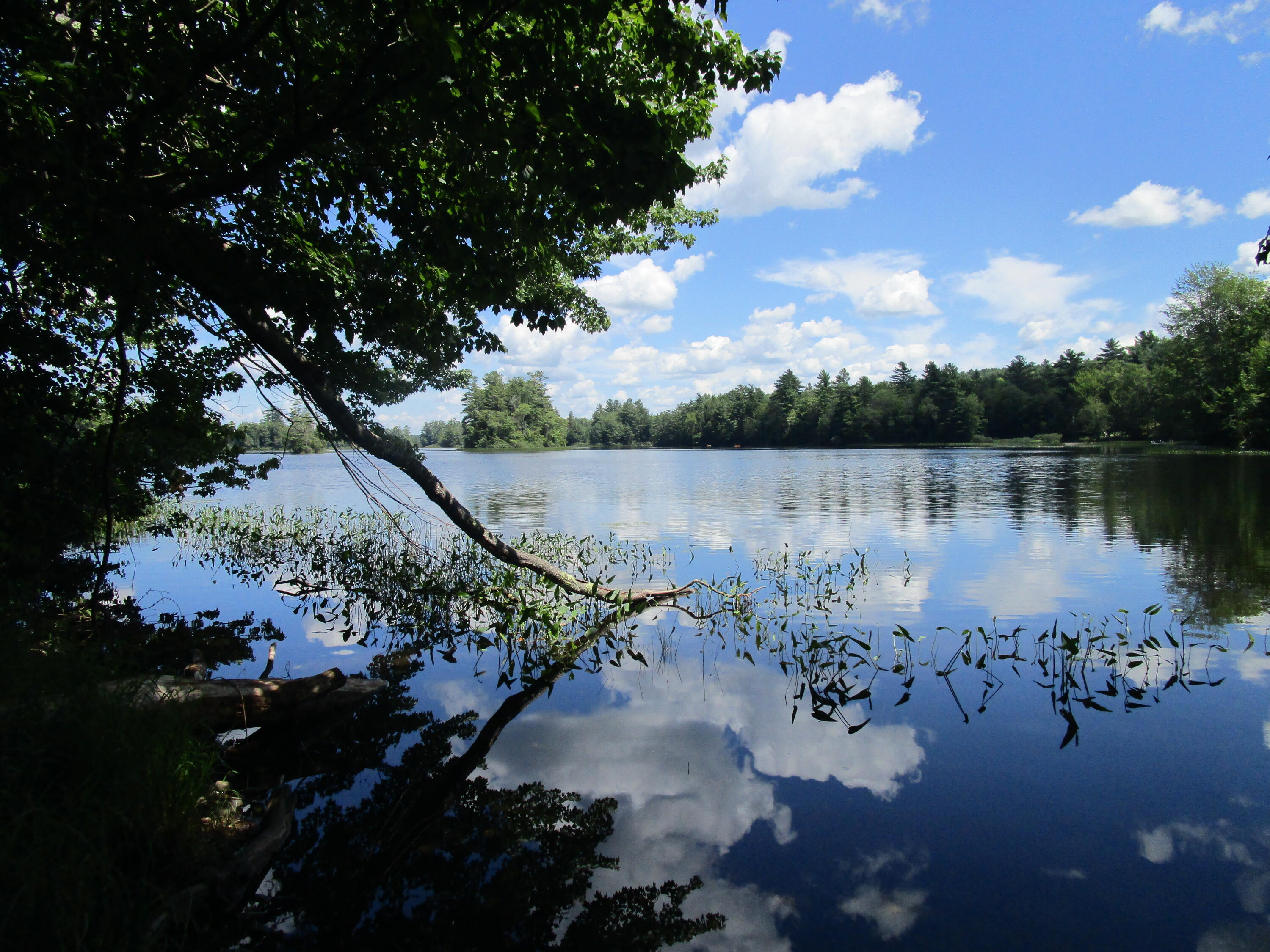 136 Branch Mills Road South China, ME 04358 - Photo 2 of 15 IMG_0724