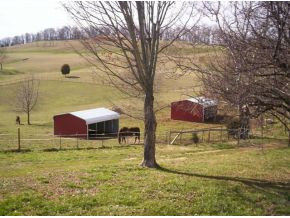 133 Dadburn Road Jonesborough, TN 37659 - Photo 22 of 24 Photo 22