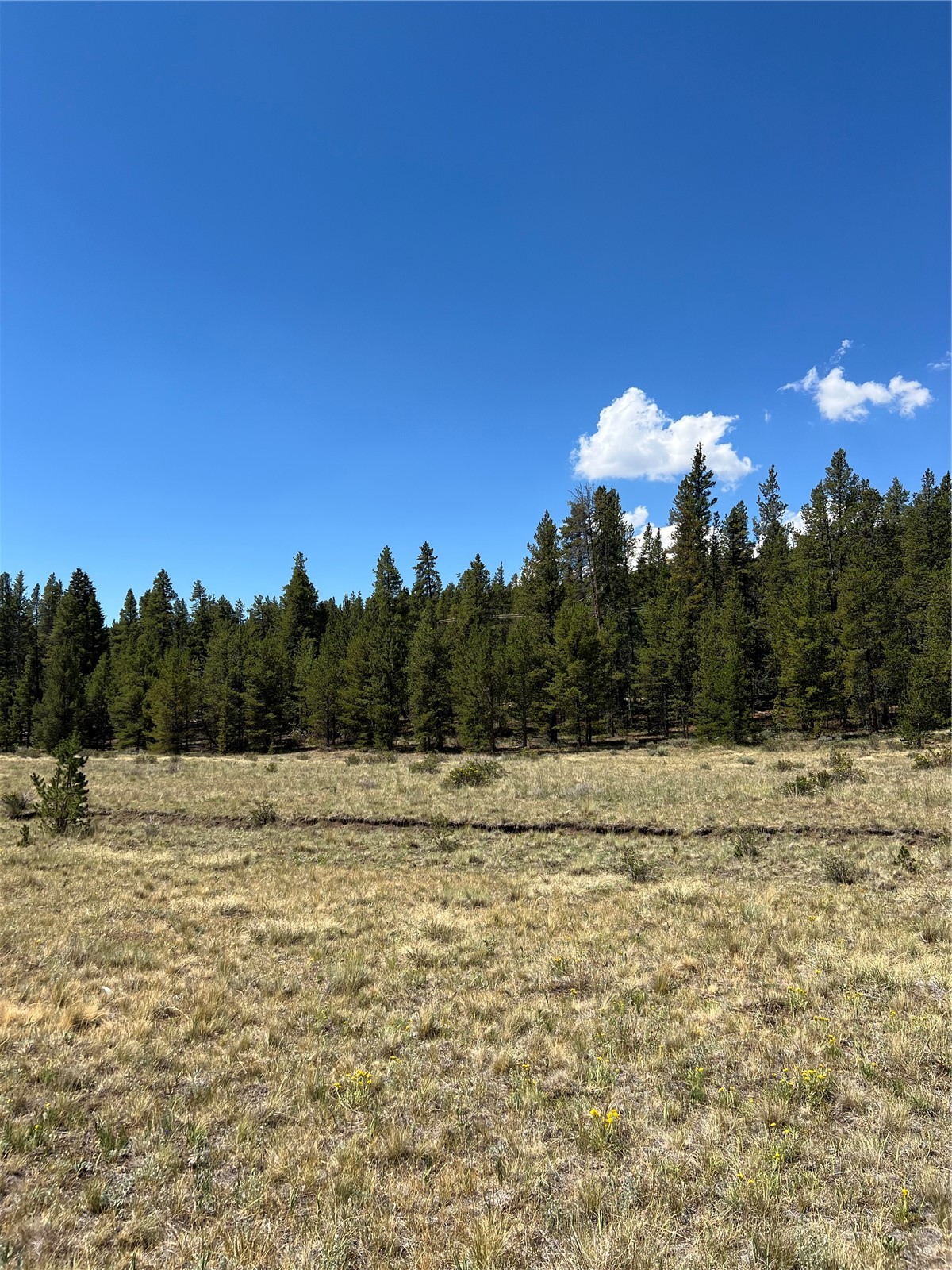 152 Co Road Fairplay, CO 80440 - Photo 16 of 20