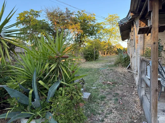 a view of a backyard