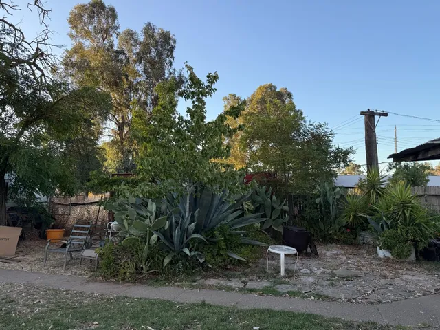 a view of a backyard with table and chairs and a large tree