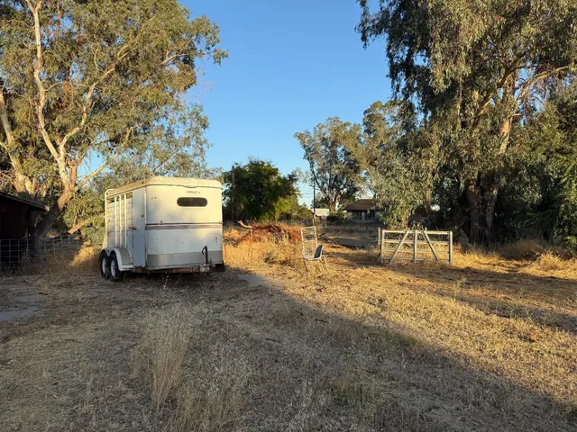 a view of a yard with a tree