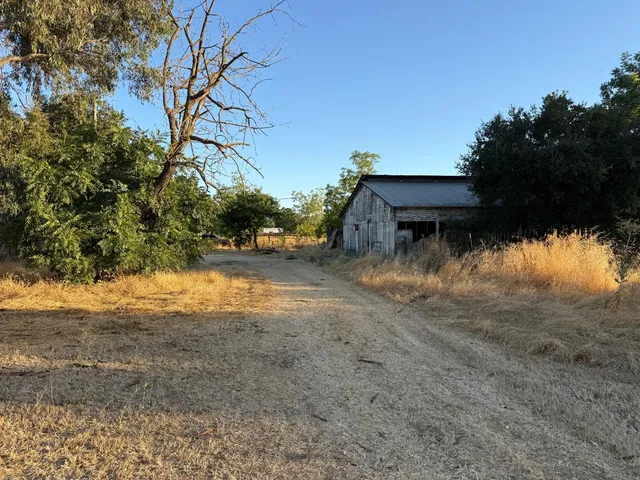 a view of a backyard