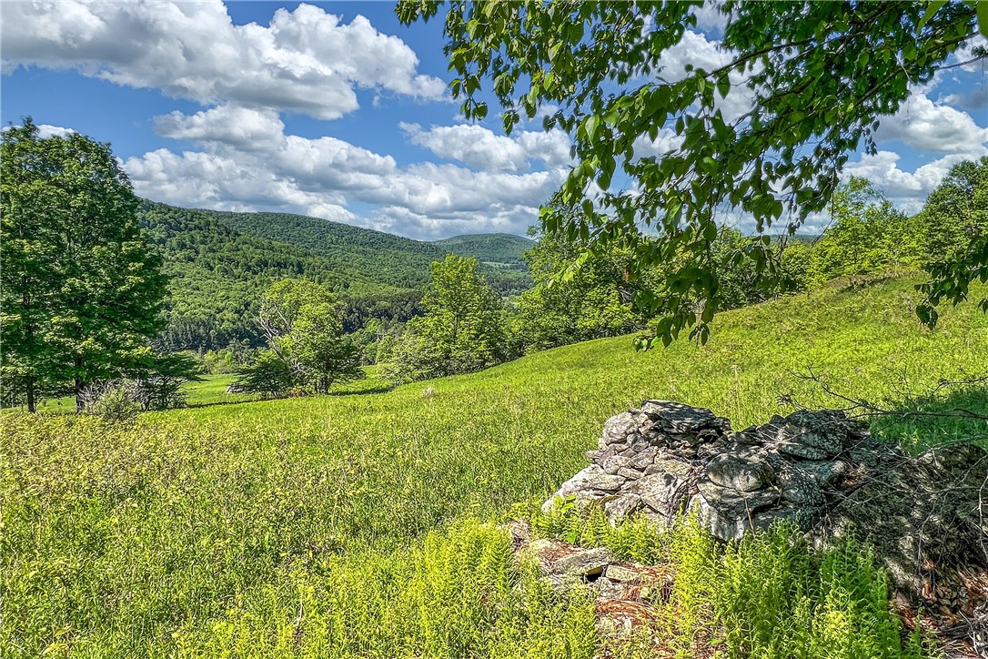 26 Federal Hill Road Delhi, NY 13753 - Photo 31 of 50