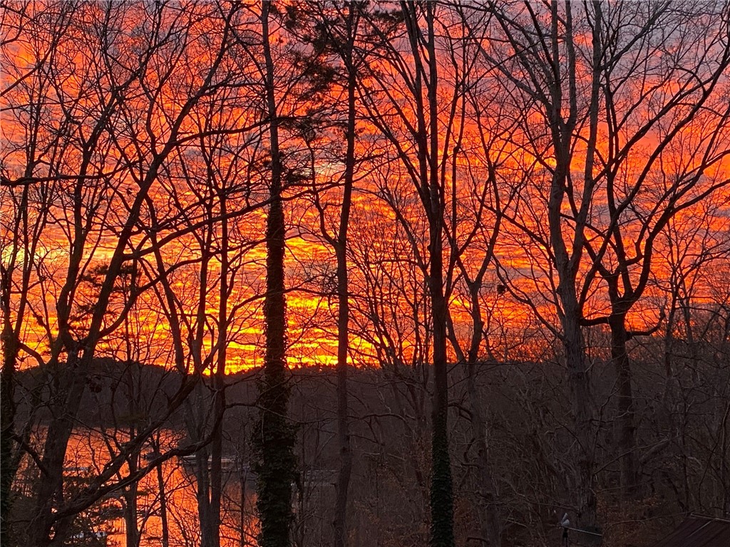 142 Fowler Road Anderson, SC 29625 - Photo 2 of 38 Year round sunsets