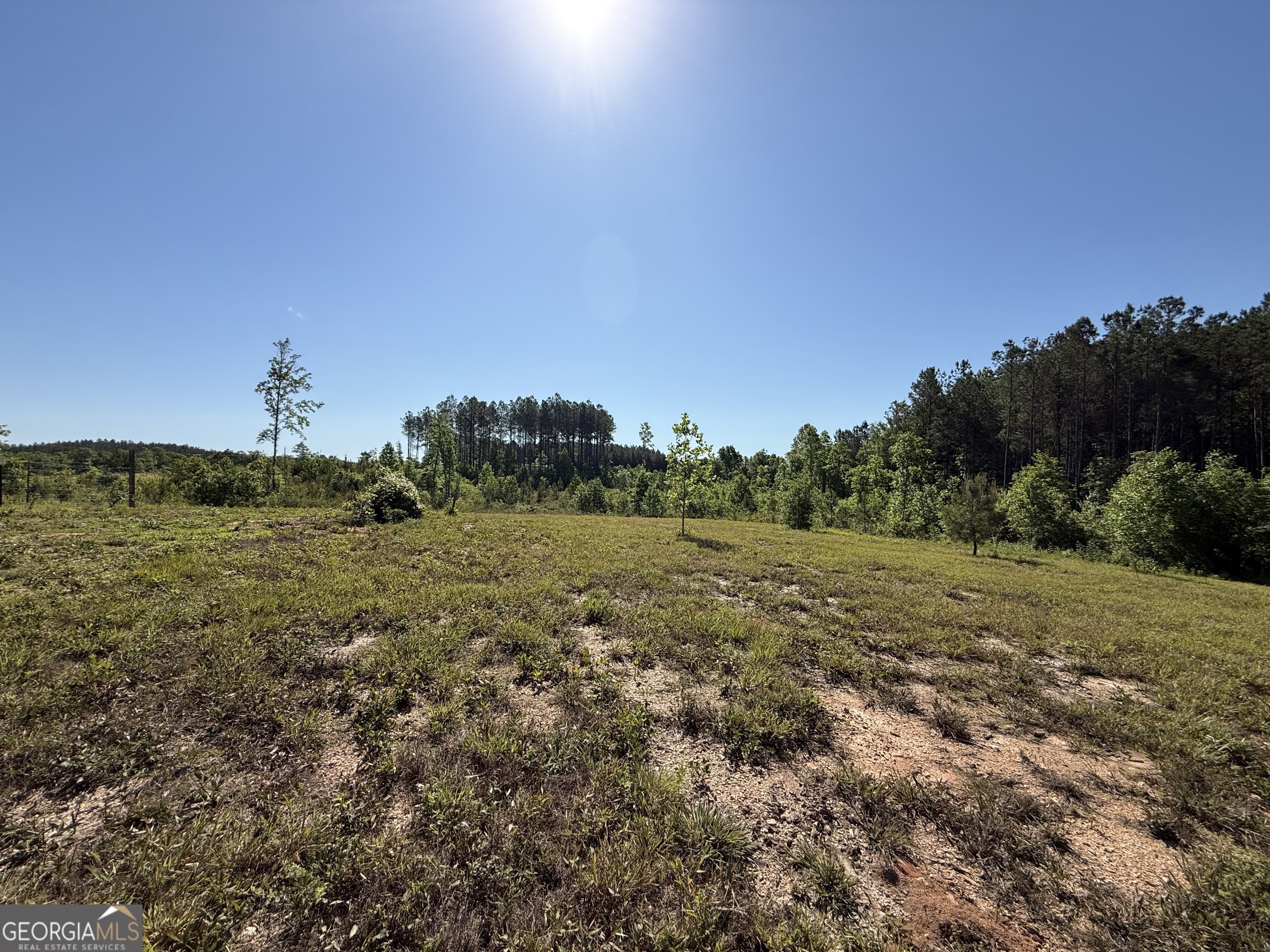 1185 County Road 402 Fruithurst, AL 36262 - Photo 54 of 54