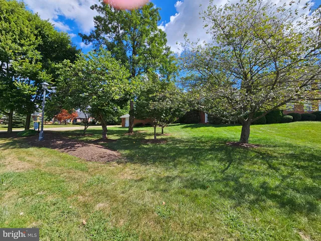 a view of a tree in a park