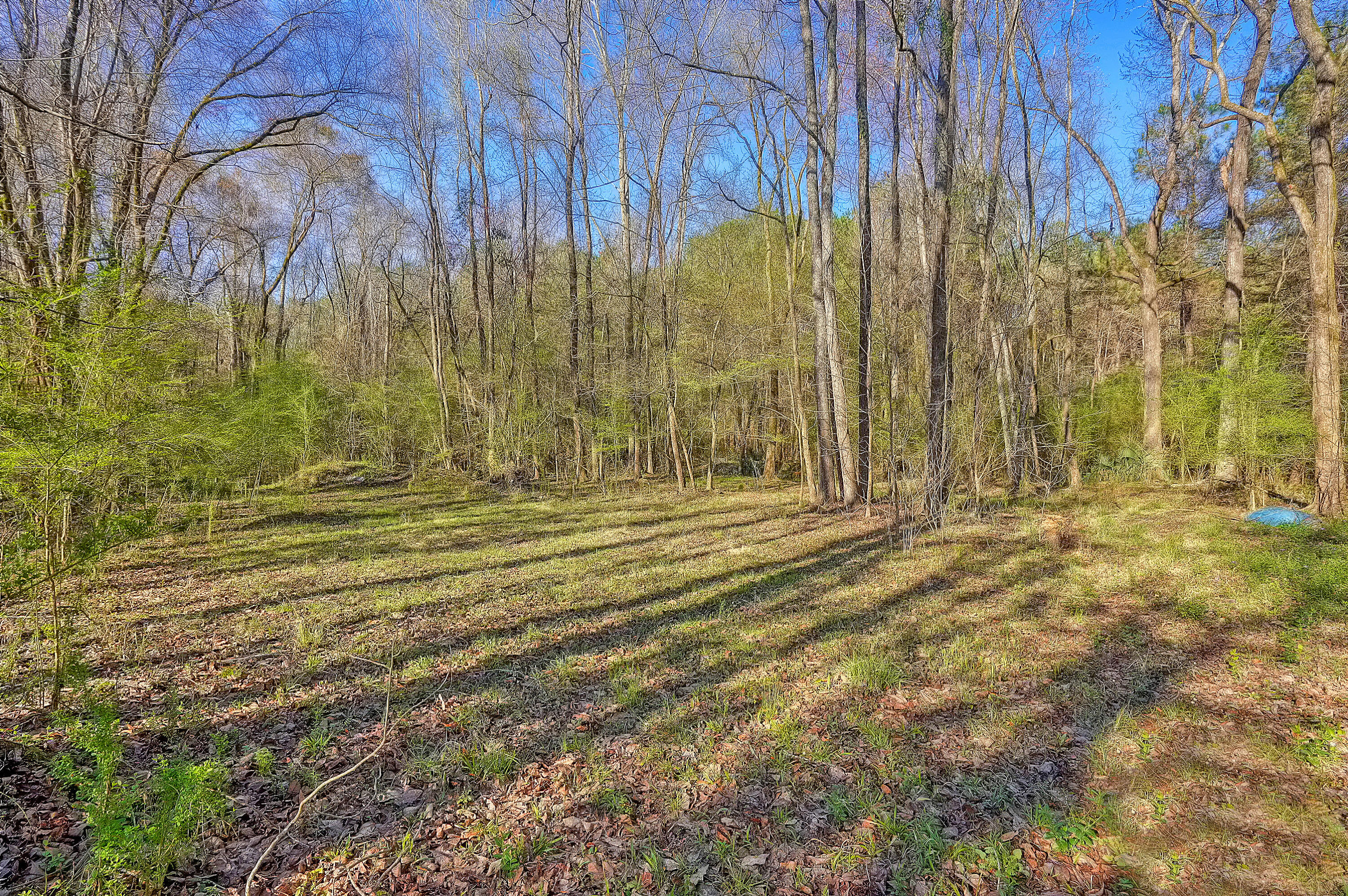 676 Fourwind Road Holly Hill, SC 29059 - Photo 73 of 75 CREM_676 Fourwind_075