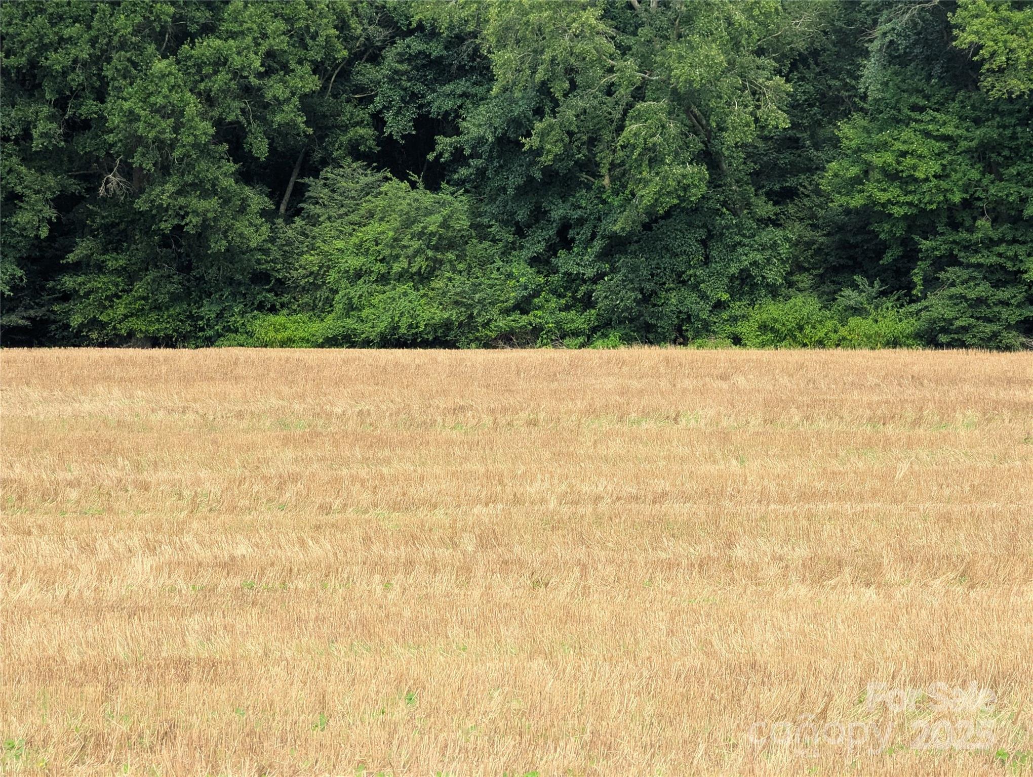 1455 Bonnie Ross Road Polkton, NC 28135 - Photo 11 of 18