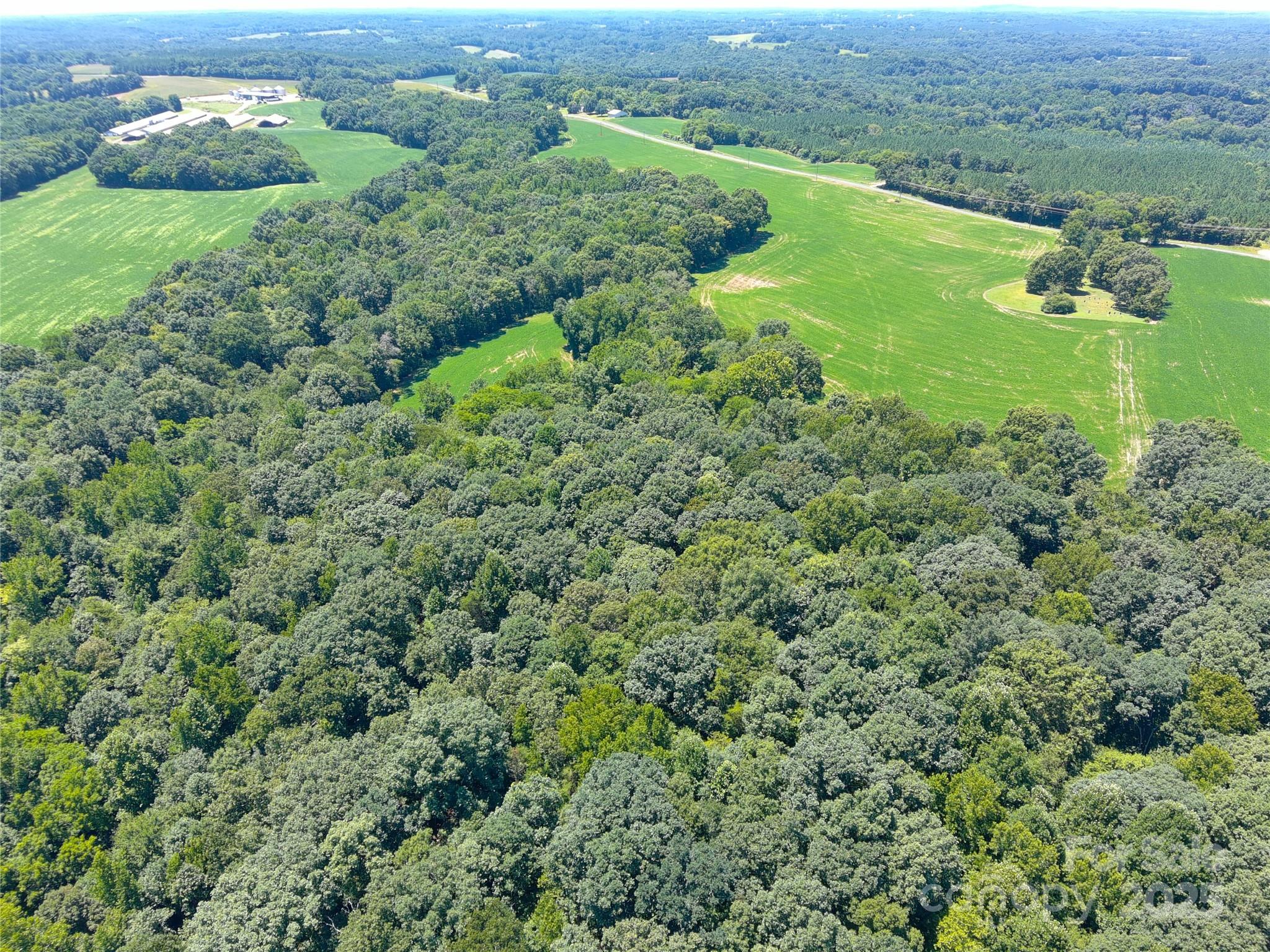 1455 Bonnie Ross Road Polkton, NC 28135 - Photo 13 of 18 a view of a lush green space