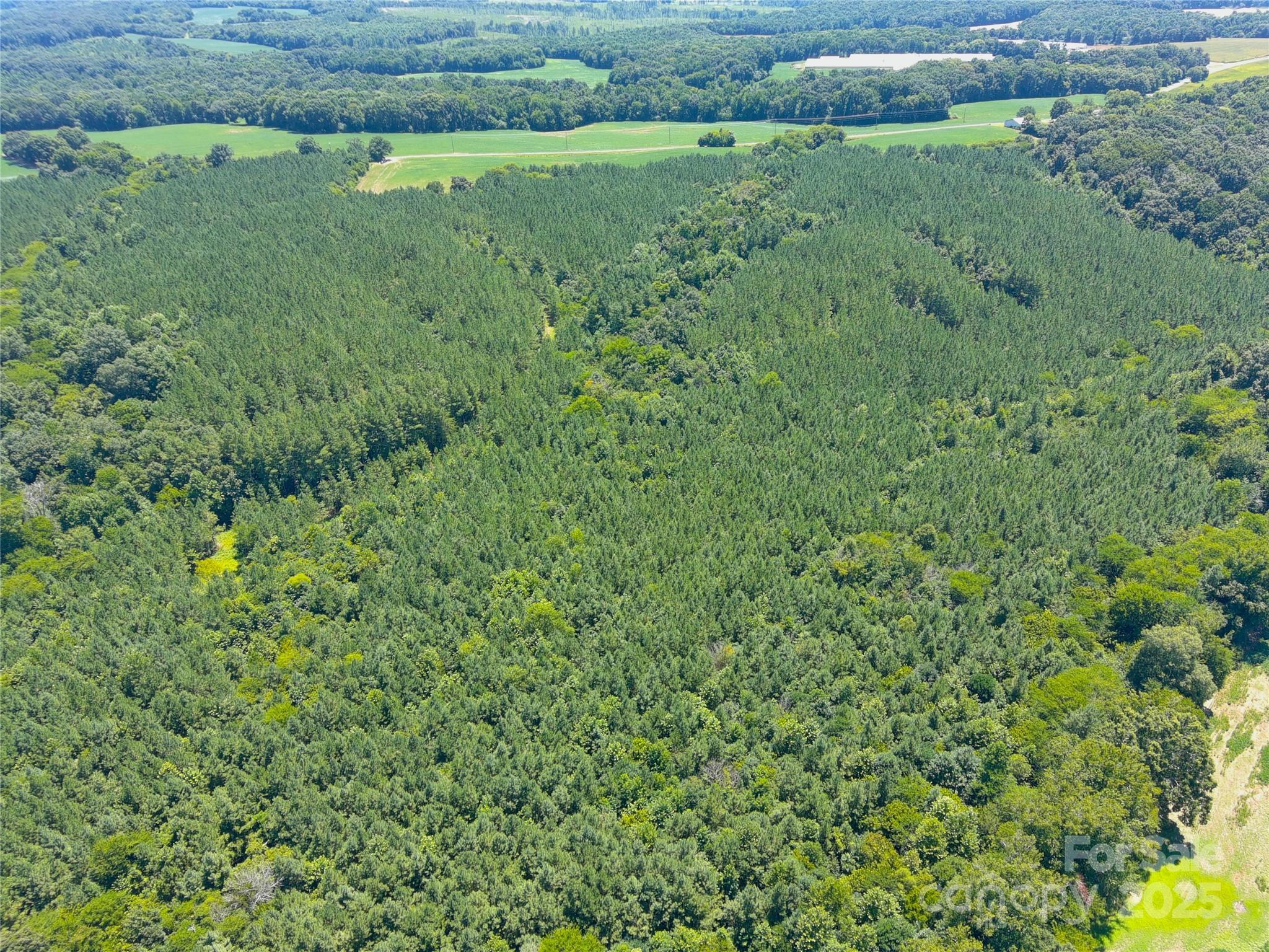 1455 Bonnie Ross Road Polkton, NC 28135 - Photo 15 of 18