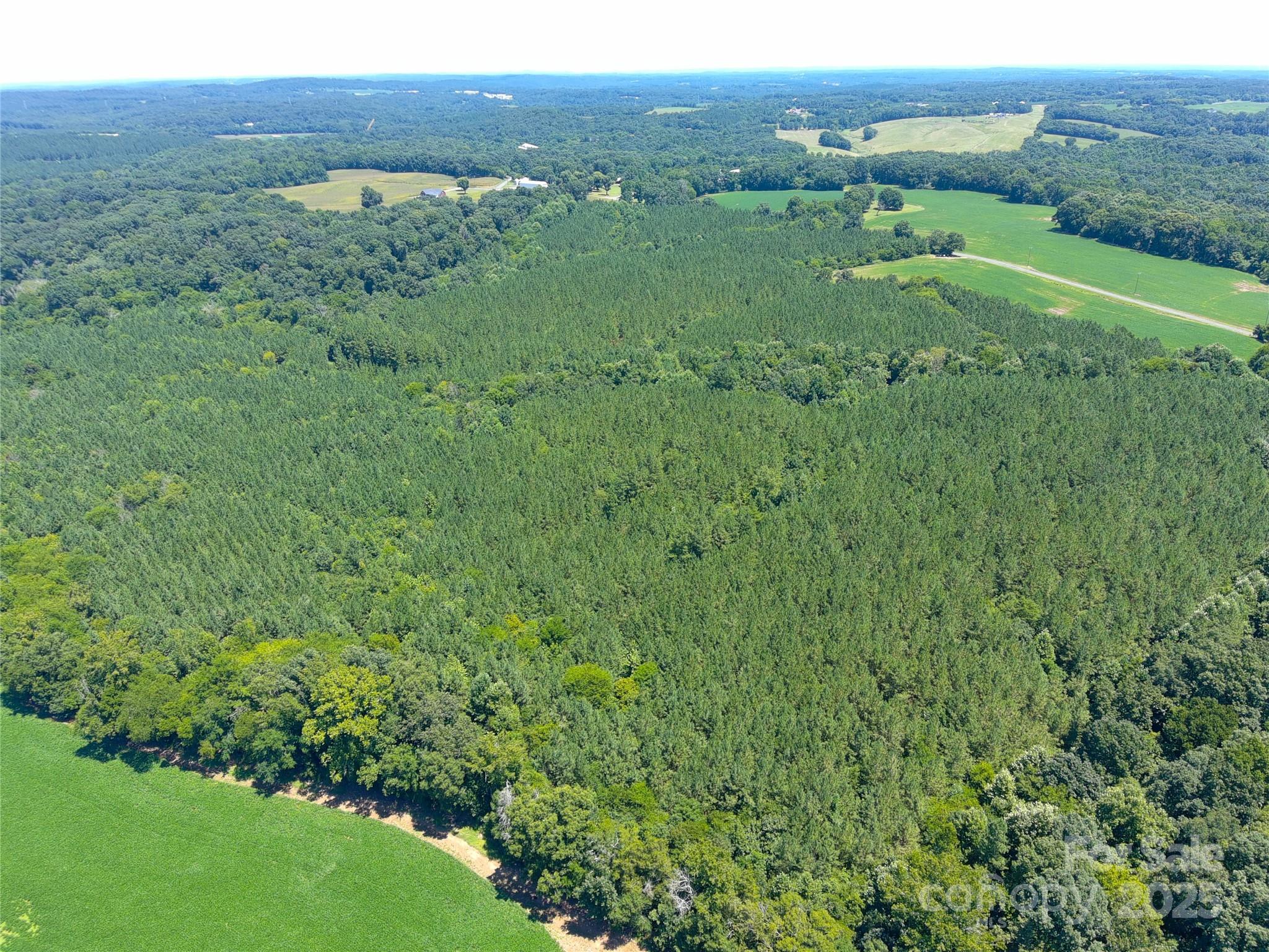 1455 Bonnie Ross Road Polkton, NC 28135 - Photo 16 of 18 a view of a green field with lots of plants in it