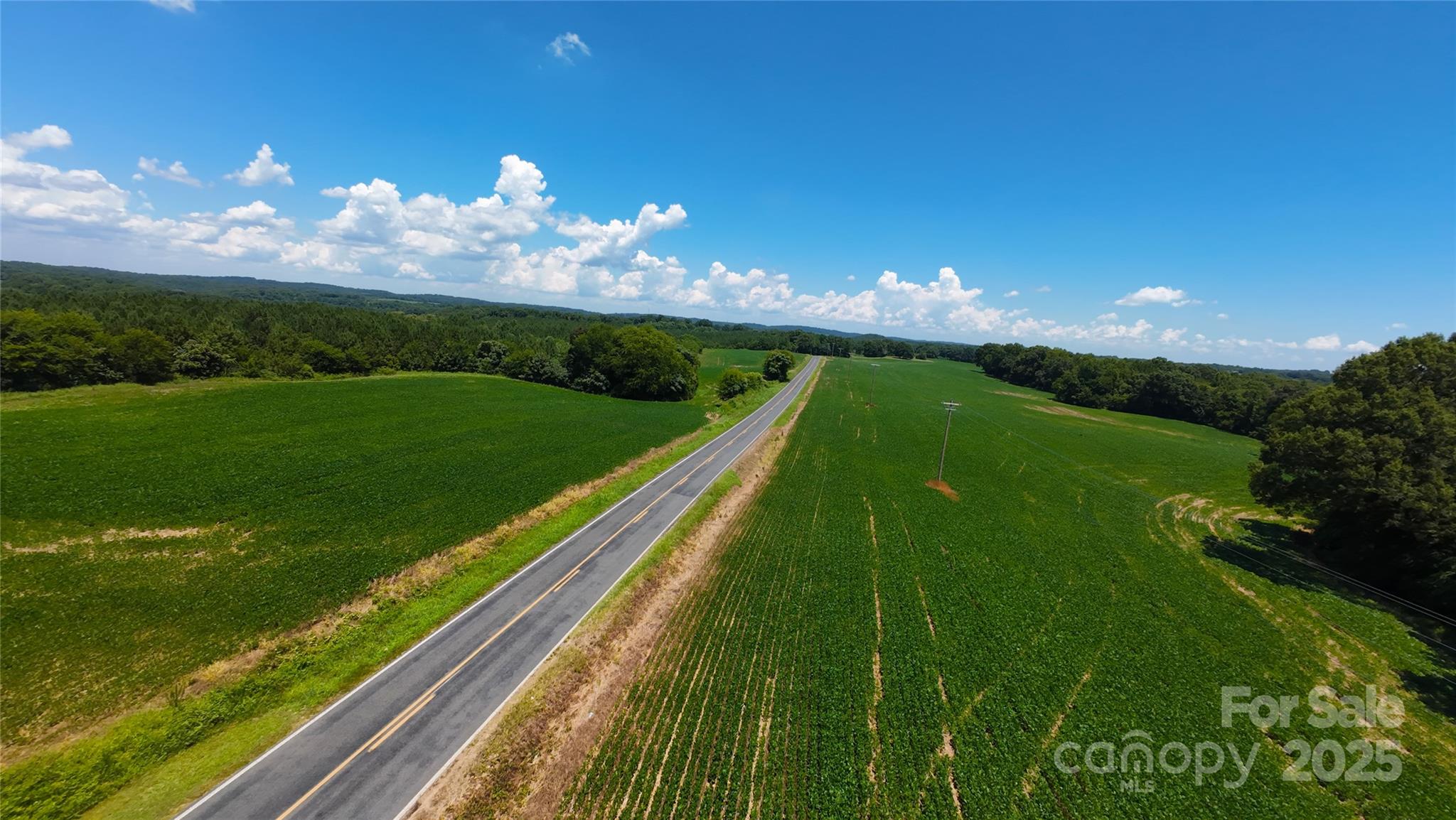1455 Bonnie Ross Road Polkton, NC 28135 - Photo 17 of 18 a view of a golf course with a lake