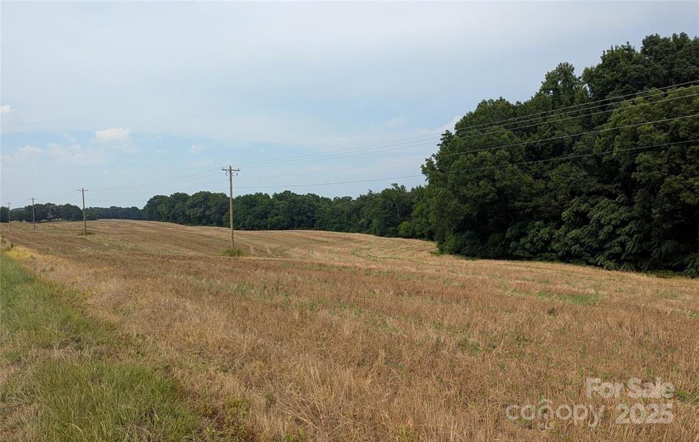 1455 Bonnie Ross Road Polkton, NC 28135 - Photo 2 of 18 a view of a field with trees in background
