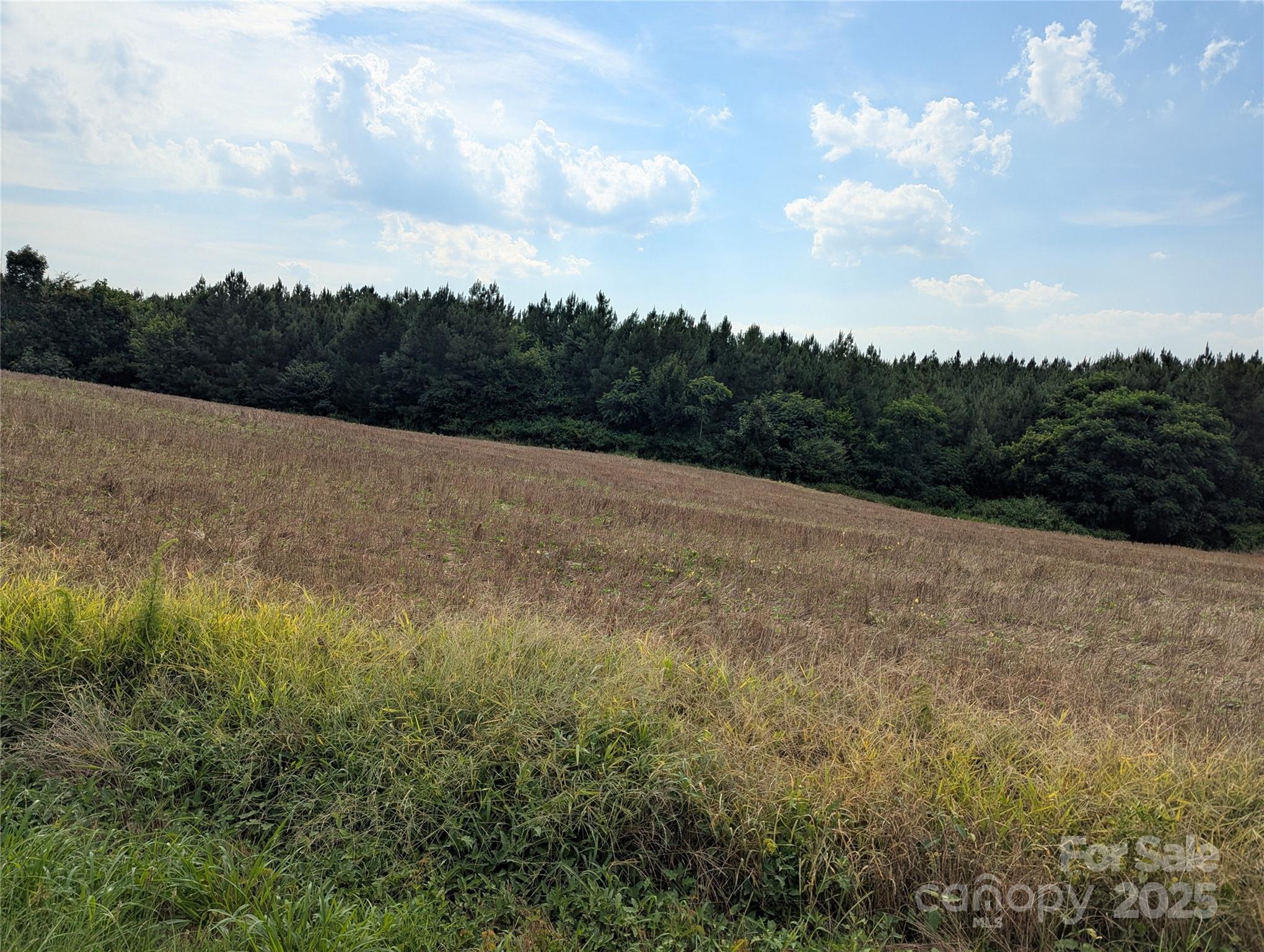 1455 Bonnie Ross Road Polkton, NC 28135 - Photo 3 of 18 a view of mountain with lake view