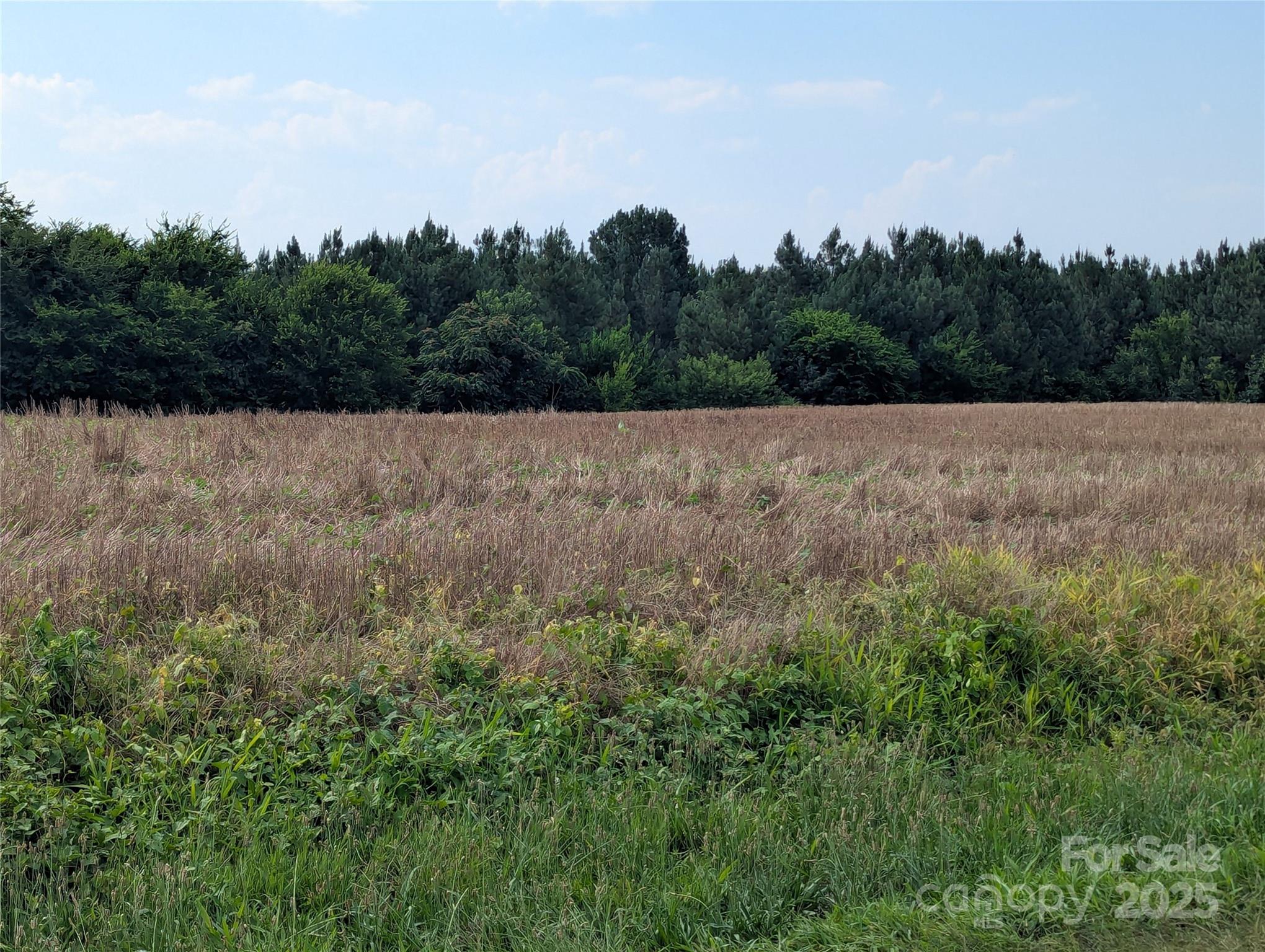 1455 Bonnie Ross Road Polkton, NC 28135 - Photo 4 of 18 an aerial view of house with outdoor space and trees all around