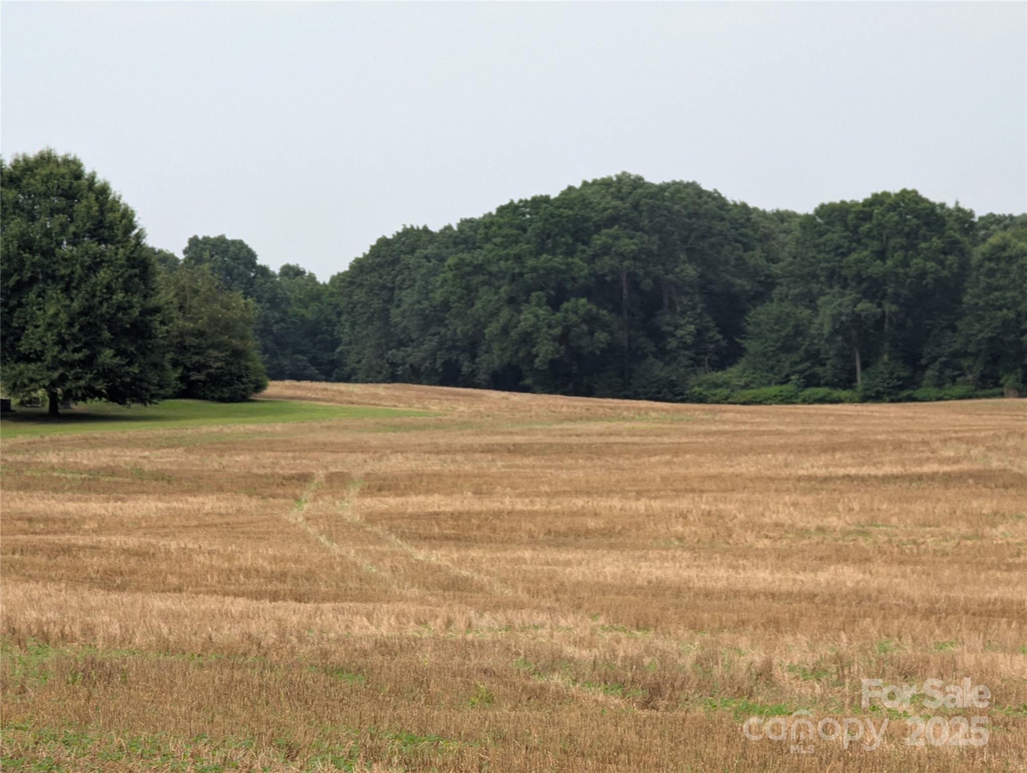 1455 Bonnie Ross Road Polkton, NC 28135 - Photo 5 of 18 a view of basketball court