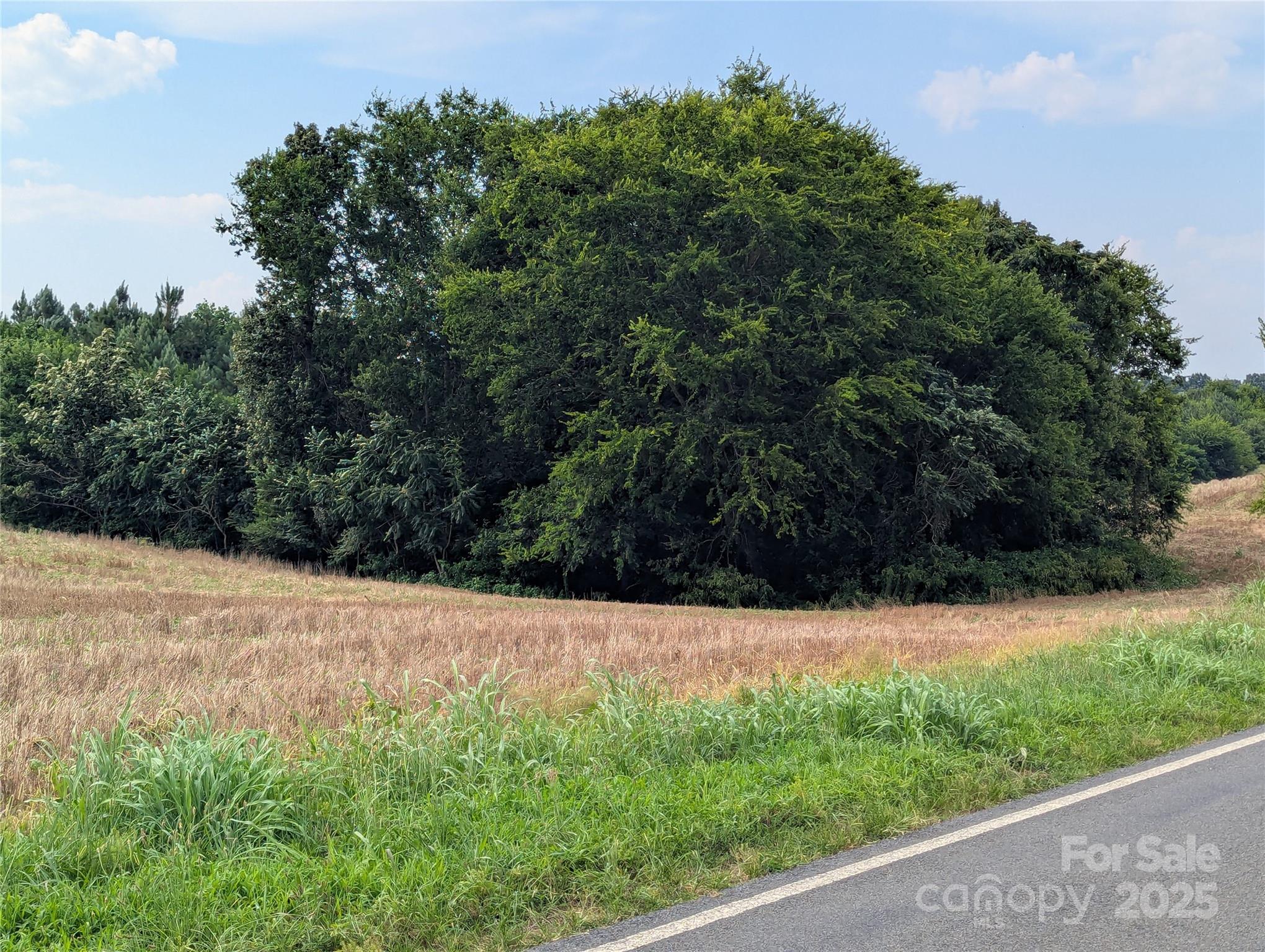 1455 Bonnie Ross Road Polkton, NC 28135 - Photo 6 of 18