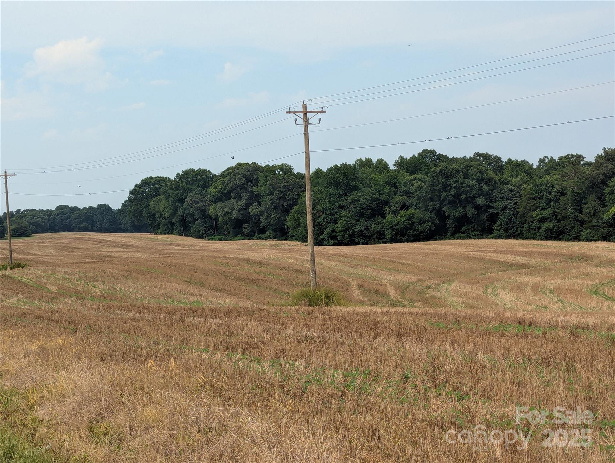 1455 Bonnie Ross Road Polkton, NC 28135 - Photo 7 of 18 a backyard of a house