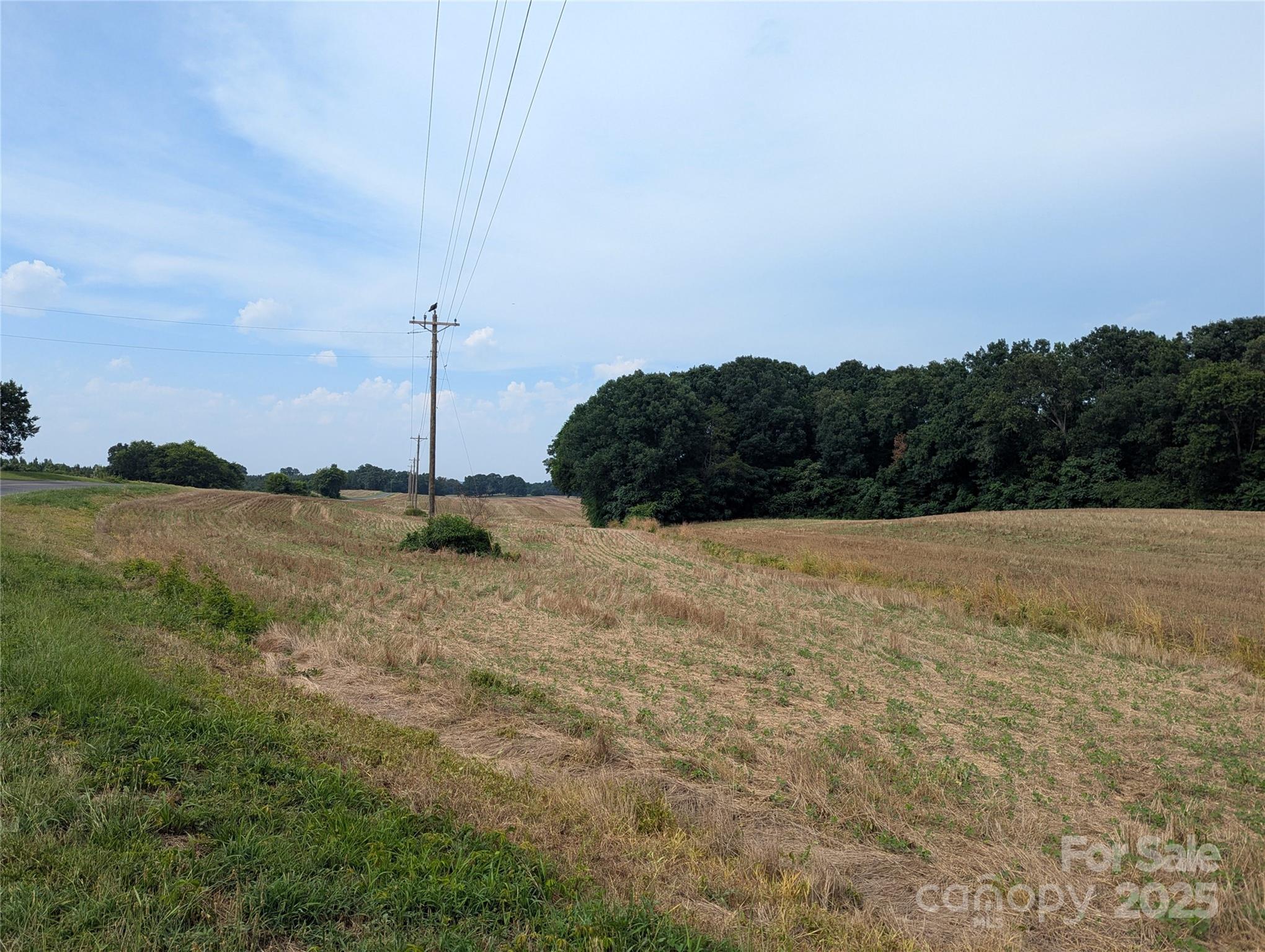 1455 Bonnie Ross Road Polkton, NC 28135 - Photo 9 of 18 a view of a dry yard with wooden fence