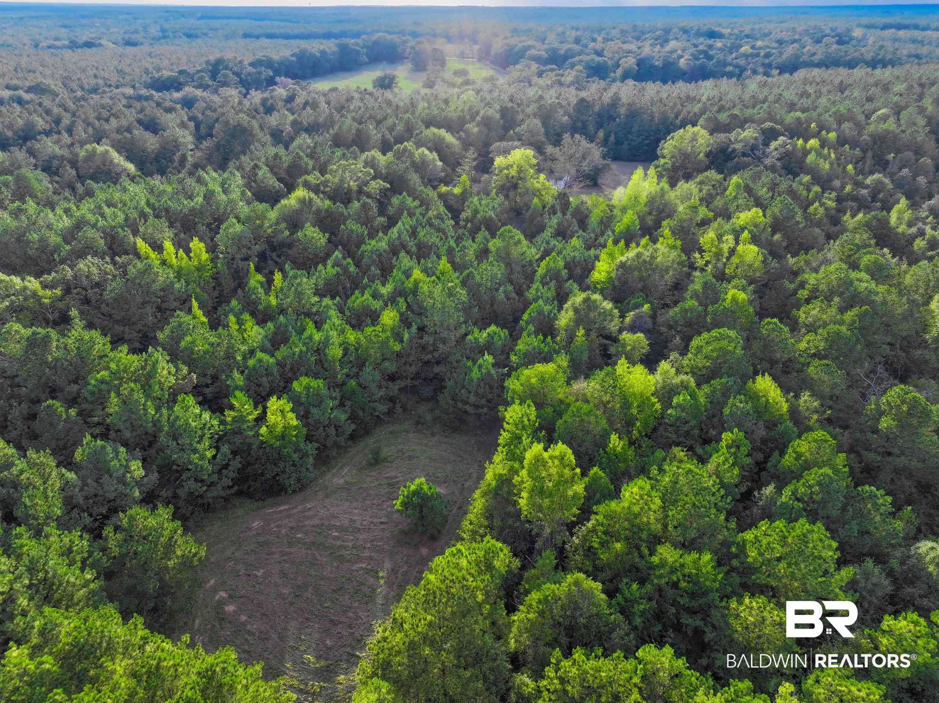 3346 Hoomesville Road Brewton, AL 36426 - Photo 5 of 16 Aerial view