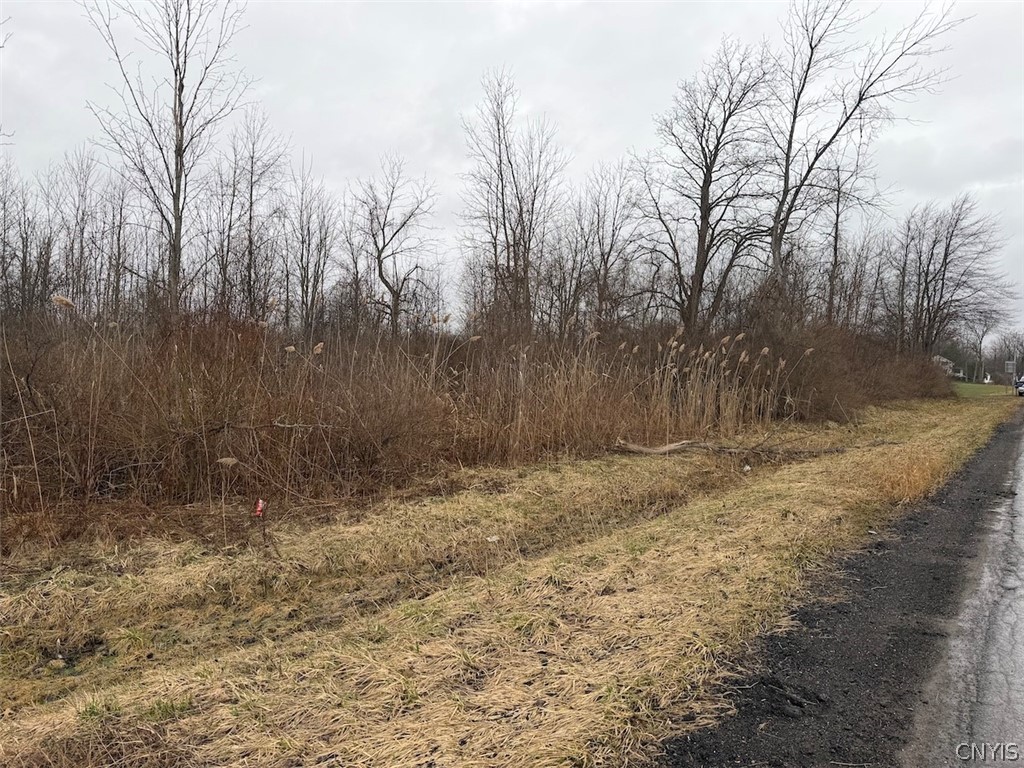 Lewiston Road Middleport, NY 14105 - Photo 7 of 12