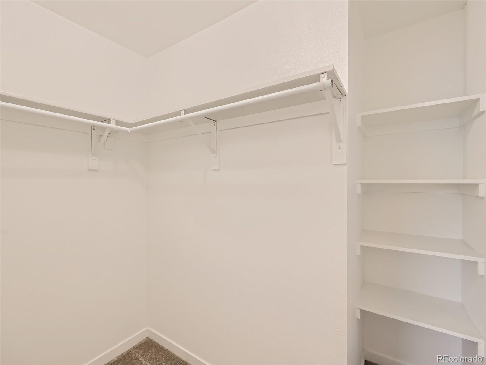 6124 Powell Road Parker, CO 80134 - Photo 25 of 50 a view of an empty walk in closet