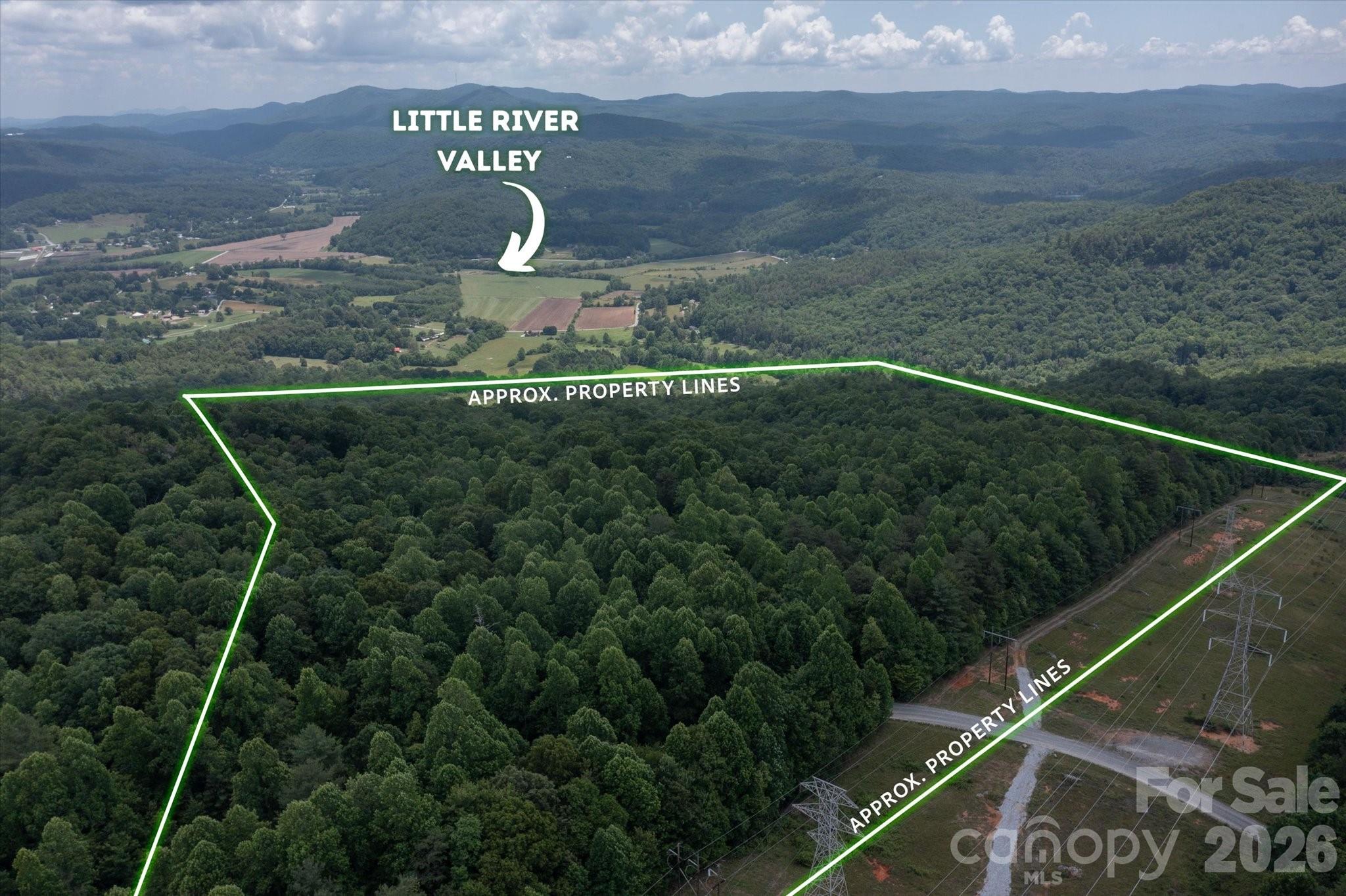 Tbd Reserve Road, Unit 16 Pisgah Forest, NC 28768 - Photo 14 of 18