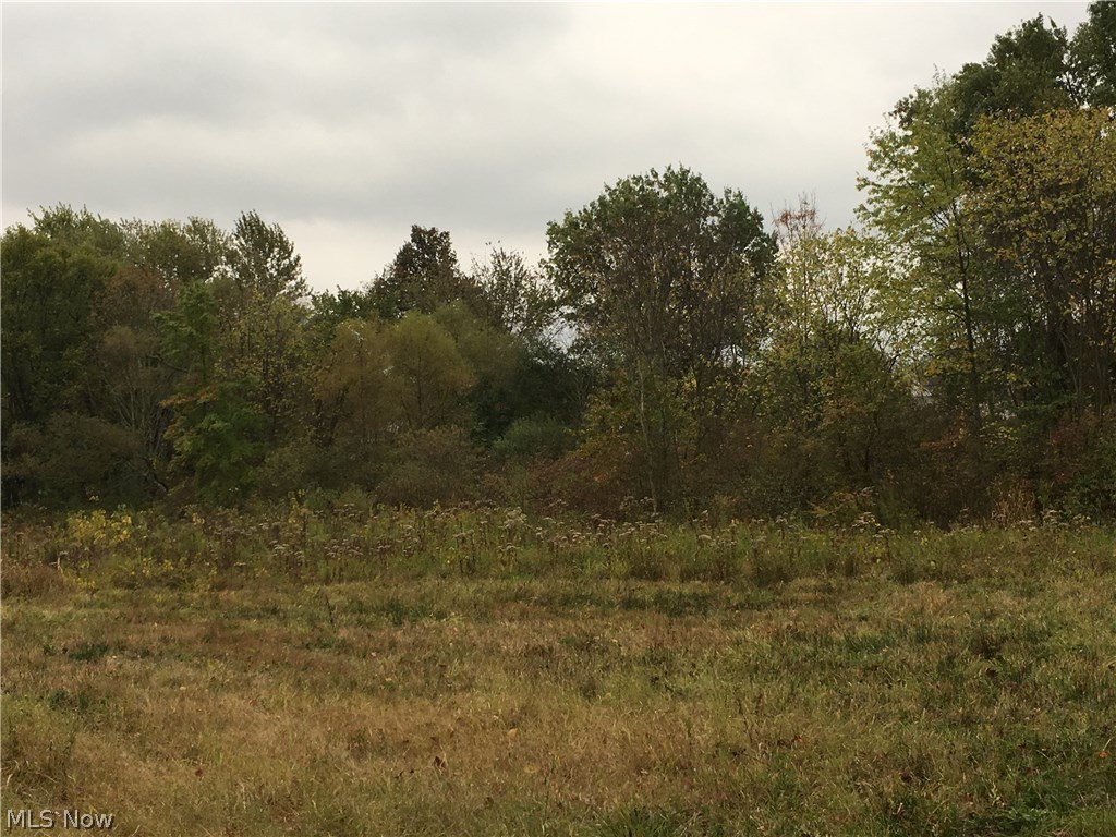 Pickle Rd Green Green, OH 44720 - Photo 11 of 15