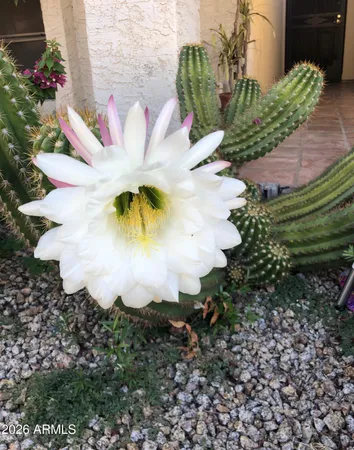 $335,000 | 7300 North Dreamy Draw Drive, Unit 103, Phoenix, AZ 85020