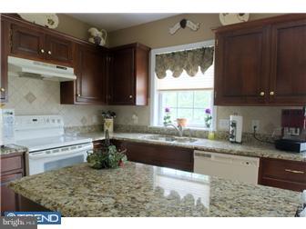 315 Kentucky Avenue Sinking Spring, PA 19608 - Photo 5 of 12 Kitchen