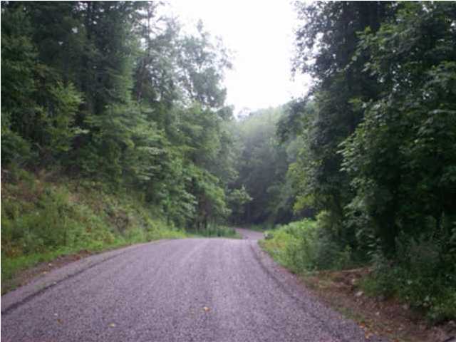 0 Mount Pleasant Road, Unit 1&2 Vonore, TN 37885 - Photo 1 of 7 Primary Photo