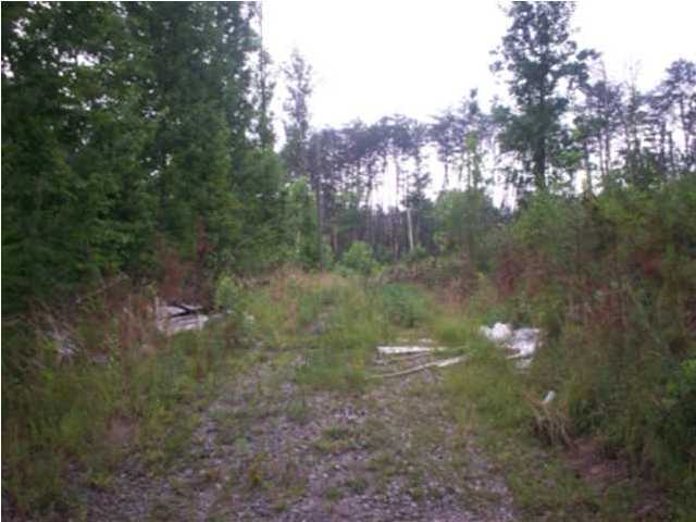 0 Mount Pleasant Road, Unit 1&2 Vonore, TN 37885 - Photo 2 of 7 Additional Photo