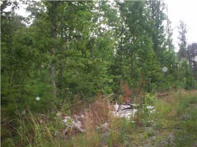 0 Mount Pleasant Road, Unit 1&2 Vonore, TN 37885 - Photo 3 of 7 Additional Photo