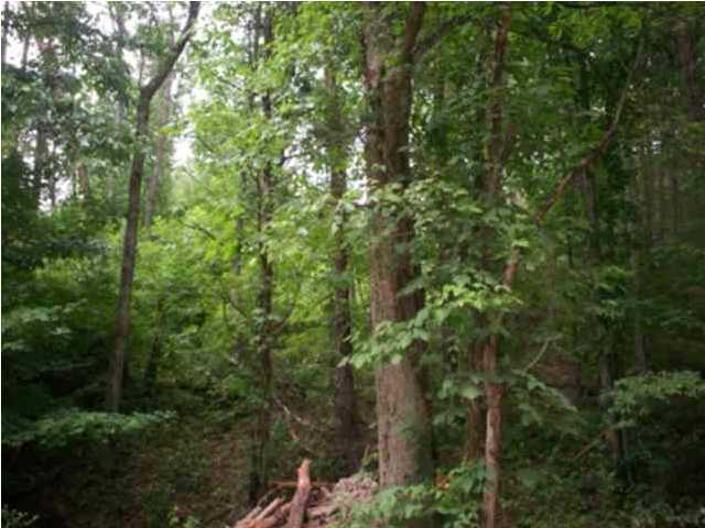 0 Mount Pleasant Road, Unit 1&2 Vonore, TN 37885 - Photo 4 of 7 Additional Photo