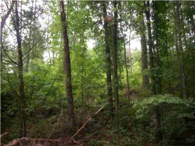 0 Mount Pleasant Road, Unit 1&2 Vonore, TN 37885 - Photo 5 of 7 Additional Photo
