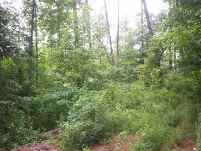 0 Mount Pleasant Road, Unit 1&2 Vonore, TN 37885 - Photo 6 of 7 Additional Photo