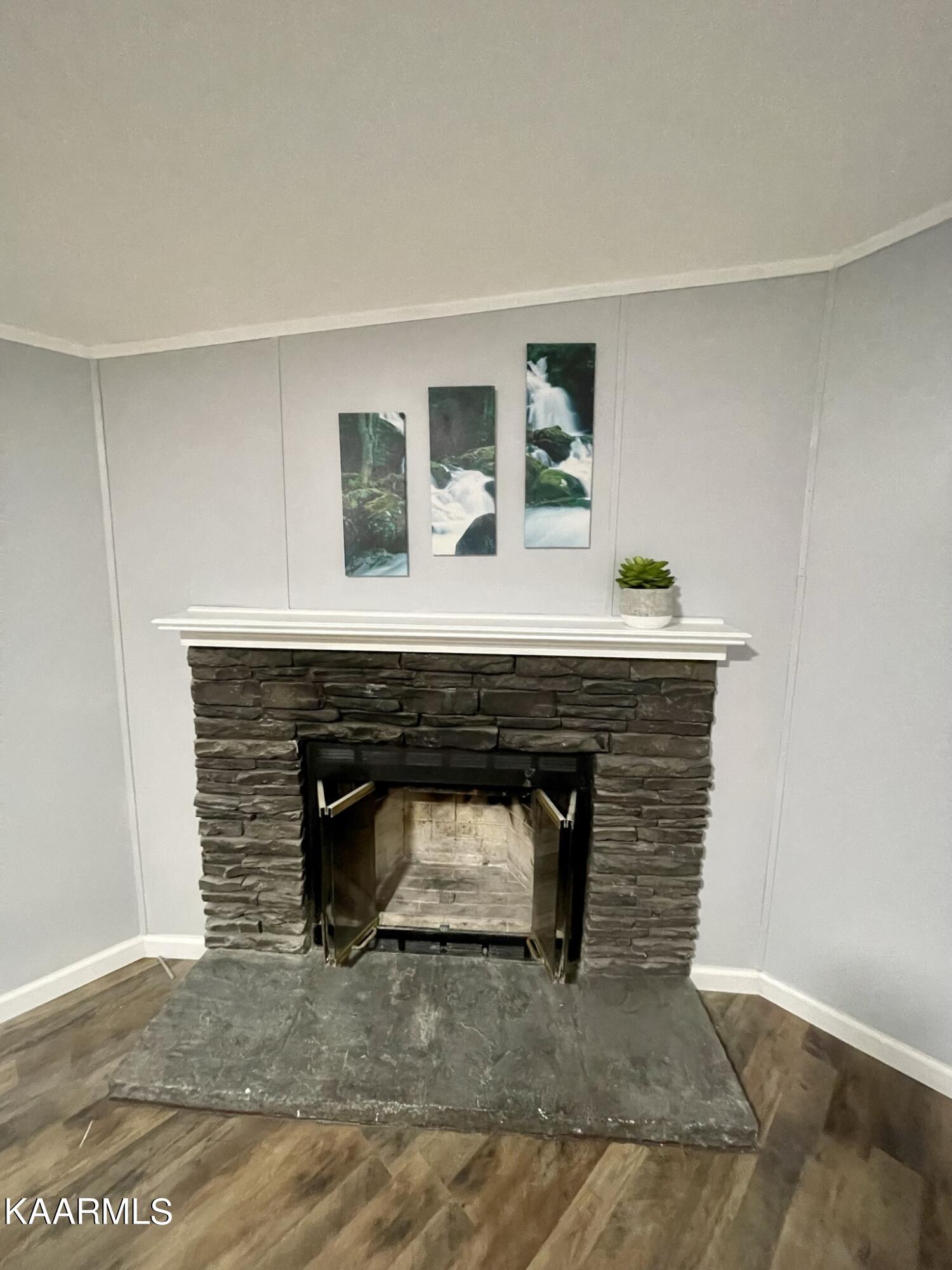 1731 Elkins Road Kodak, TN 37764 - Photo 13 of 25 IMG_5598