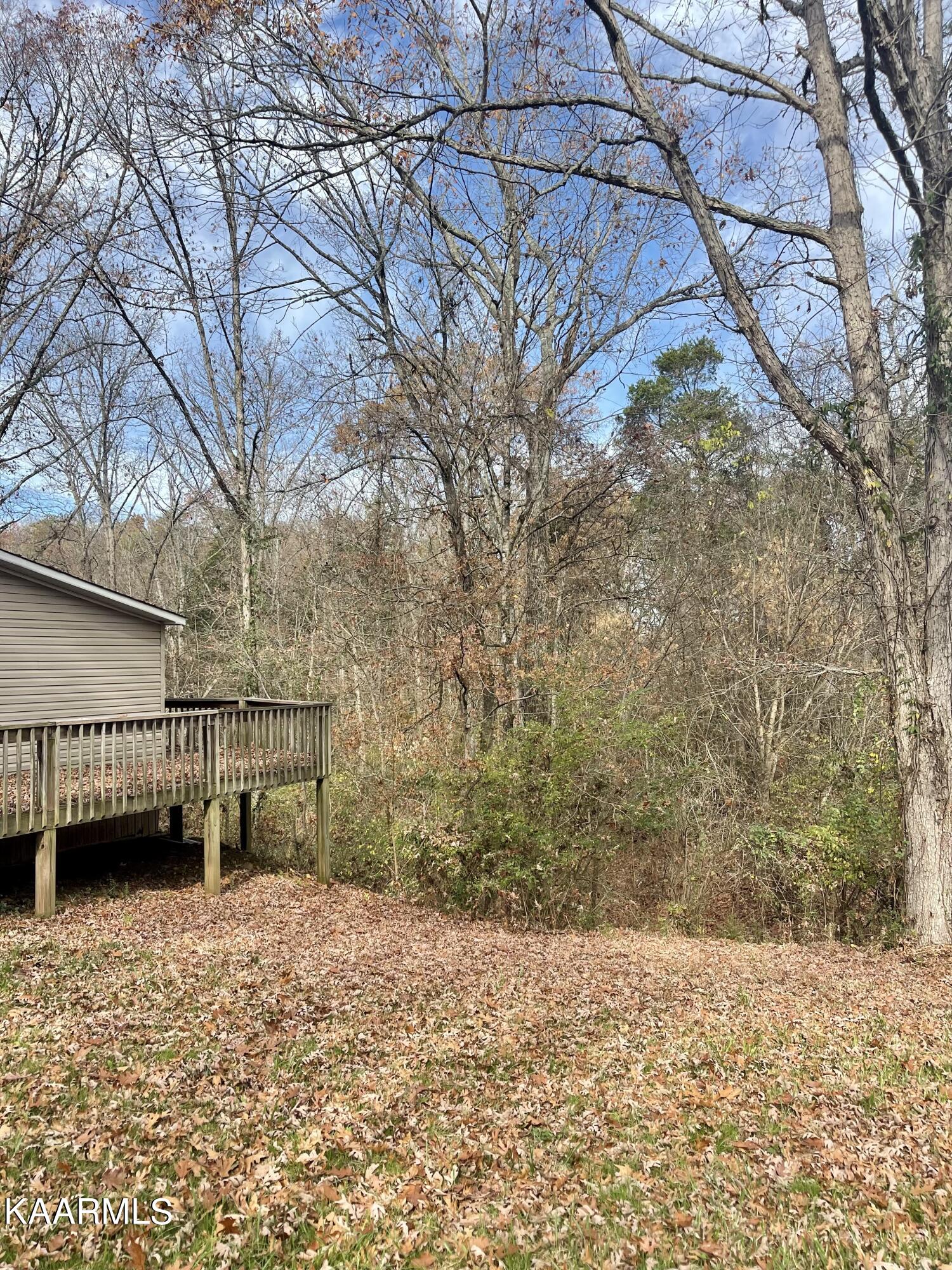 1731 Elkins Road Kodak, TN 37764 - Photo 20 of 25 IMG-5680