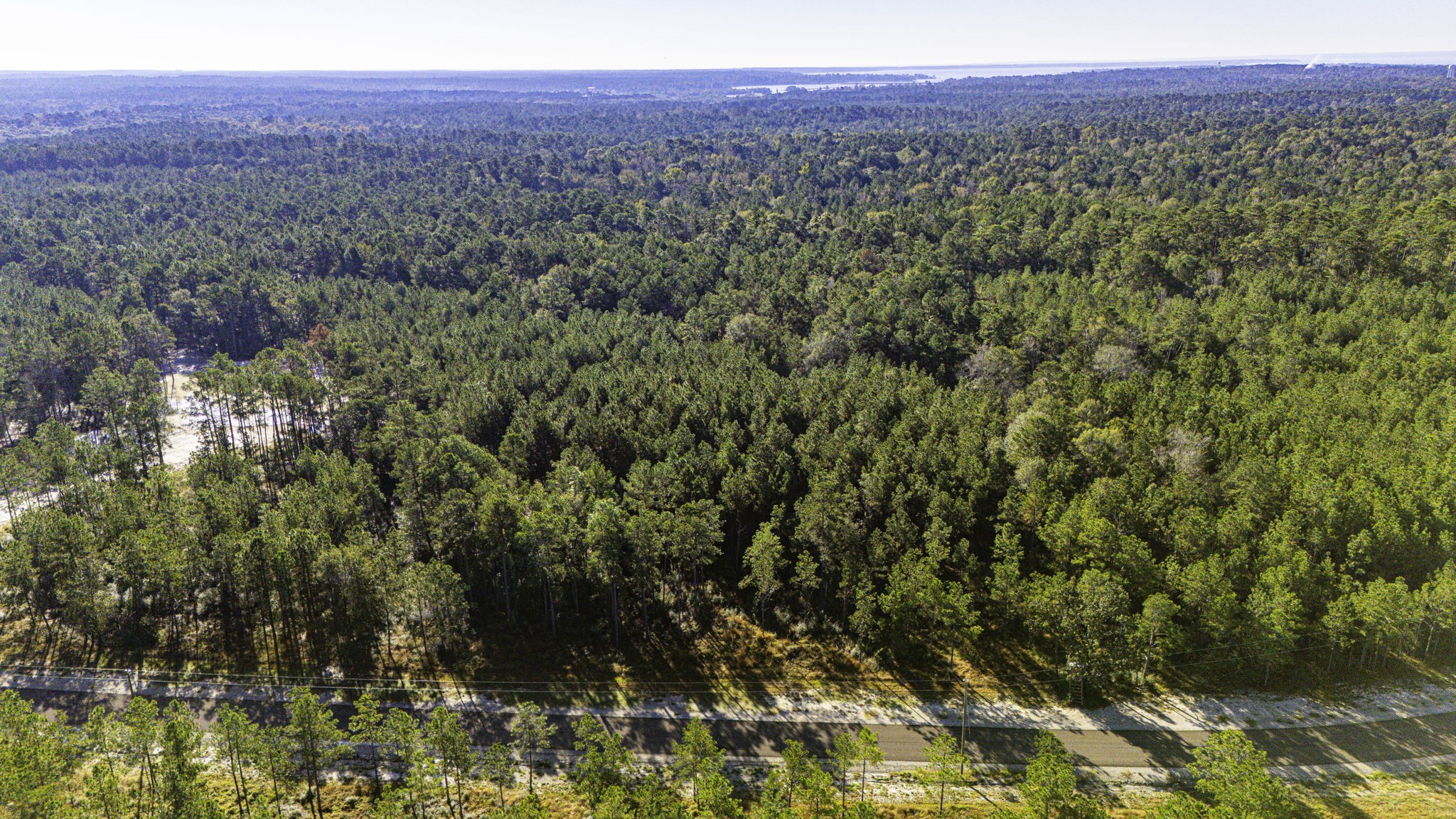 12 Magnolia Ranch Road Onalaska, TX 77360 - Photo 8 of 13 a view of a city with lush green forest