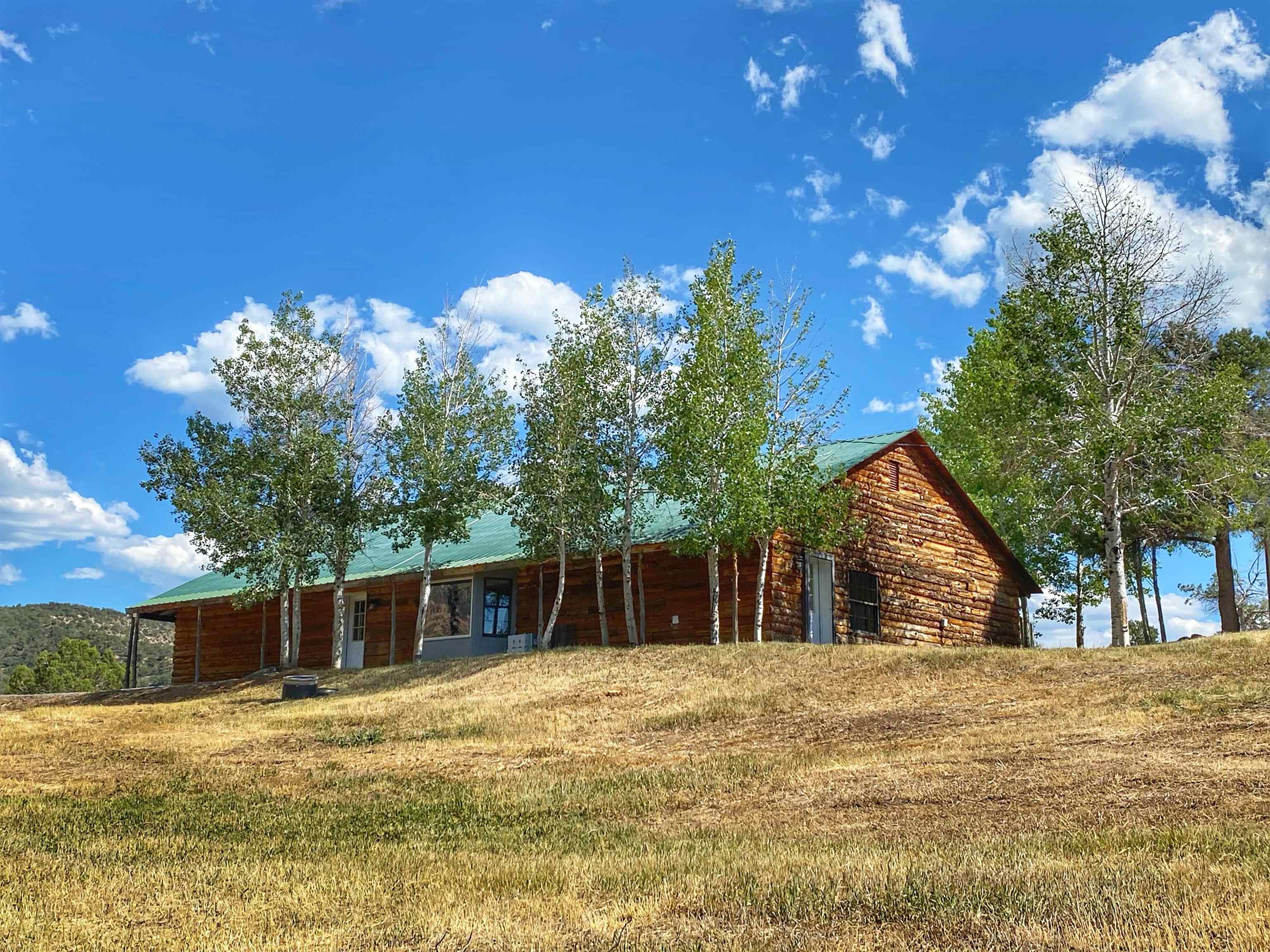 14998-59 59 1/2 Road Collbran, CO 81624 - Photo 1 of 31 Gallery Image 1