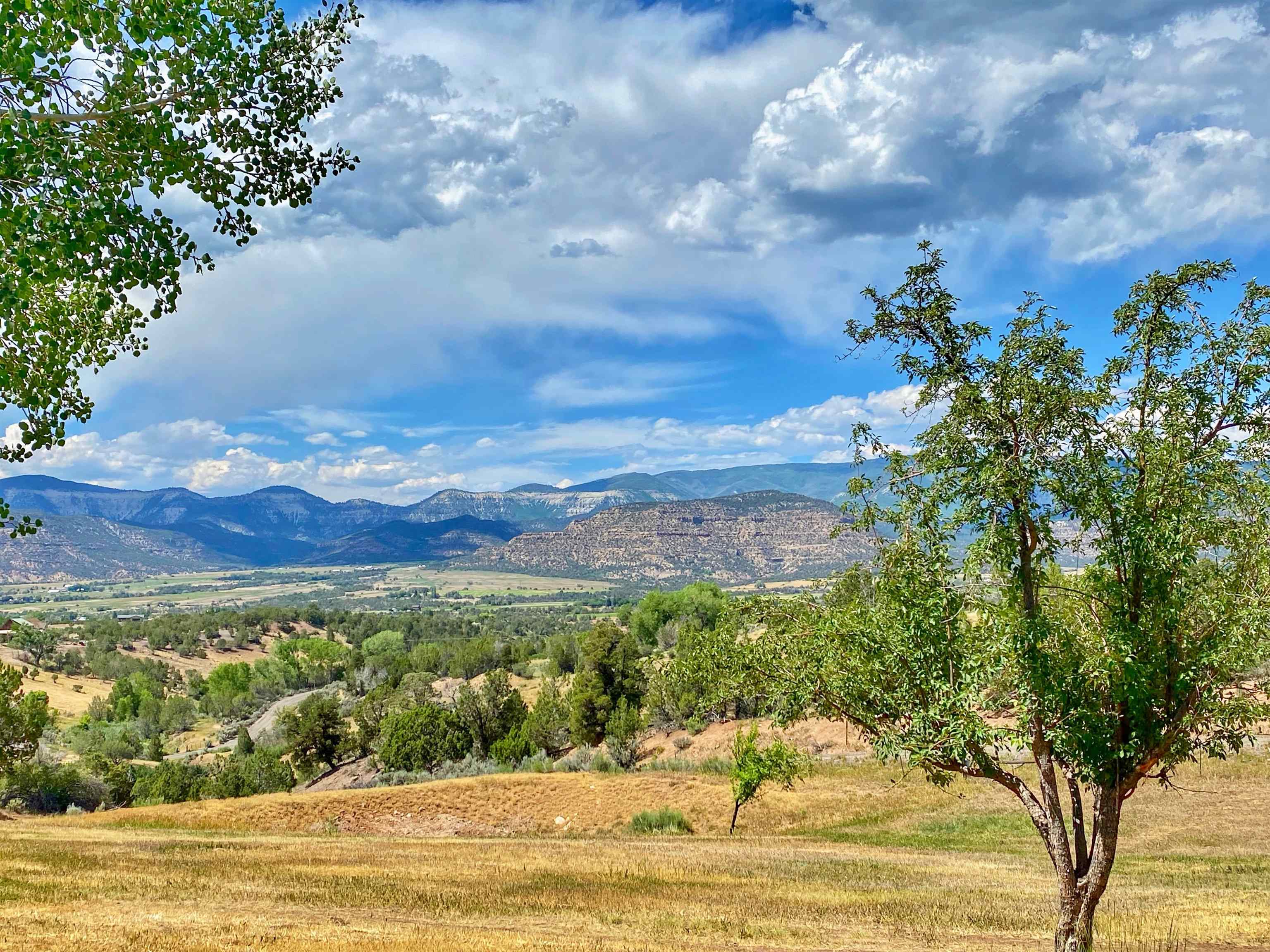 14998-59 59 1/2 Road Collbran, CO 81624 - Photo 20 of 31 Gallery Image 20