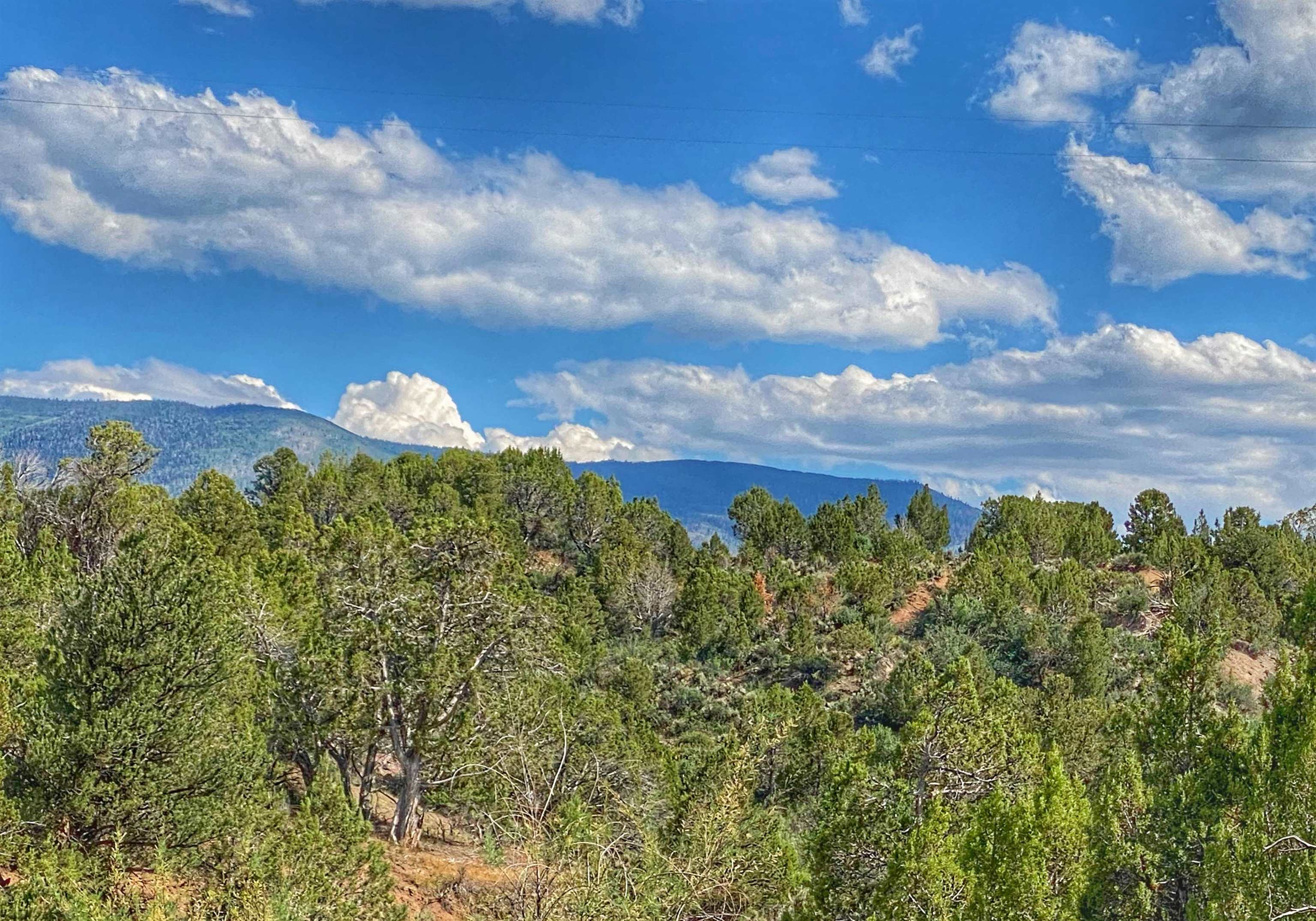 14998-59 59 1/2 Road Collbran, CO 81624 - Photo 23 of 31 Gallery Image 23