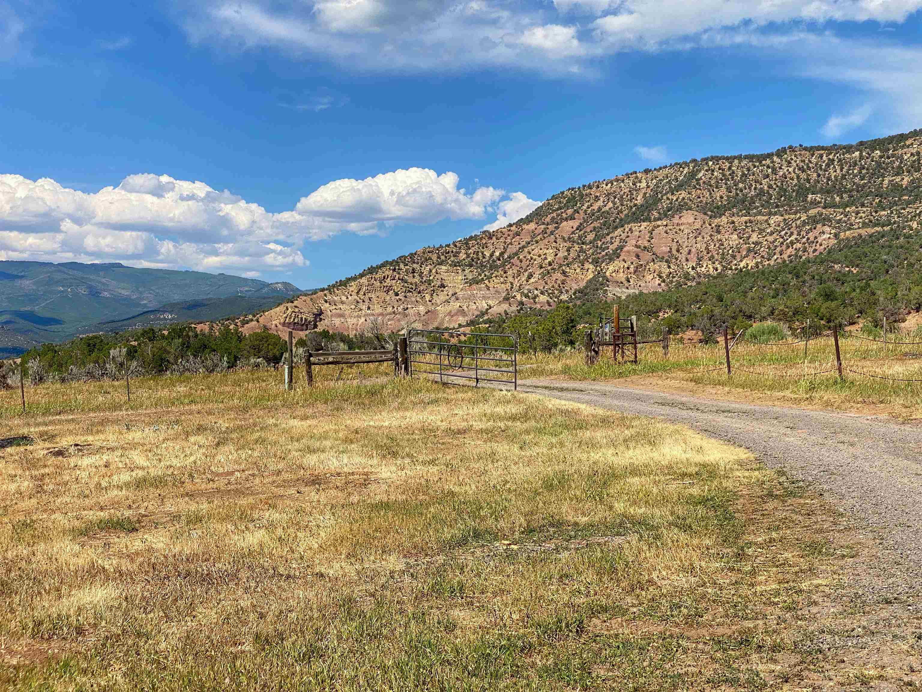 14998-59 59 1/2 Road Collbran, CO 81624 - Photo 24 of 31 Gallery Image 24