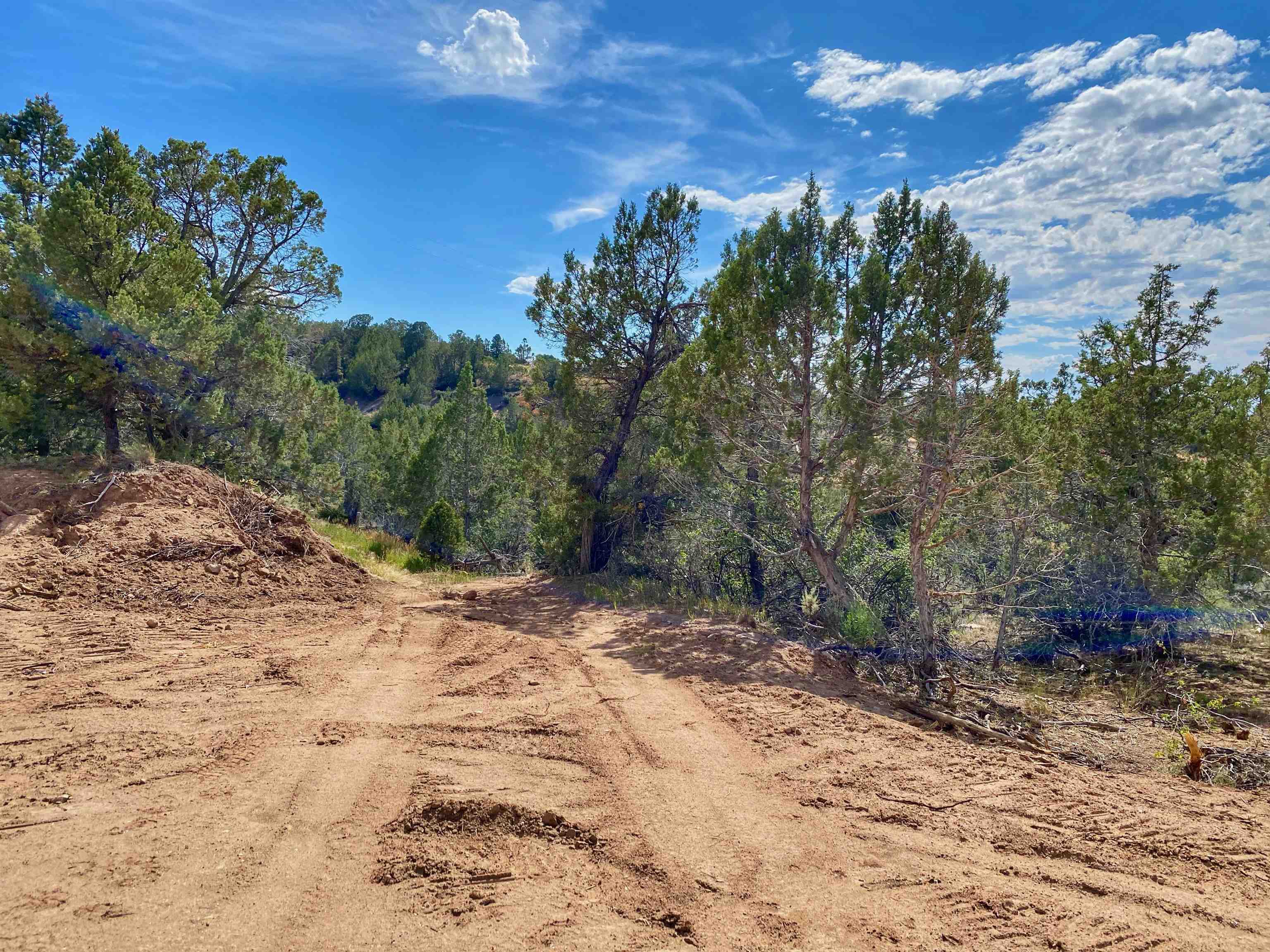 14998-59 59 1/2 Road Collbran, CO 81624 - Photo 26 of 31 Gallery Image 26