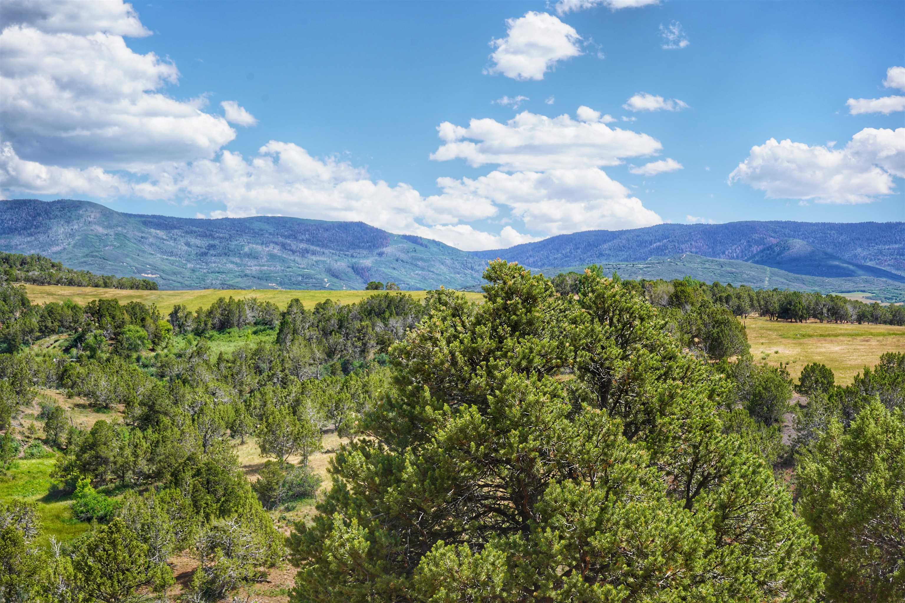 14998-59 59 1/2 Road Collbran, CO 81624 - Photo 27 of 31 Gallery Image 27