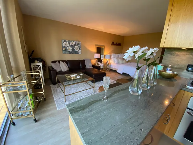 a living room with furniture flowerpot and a chandelier